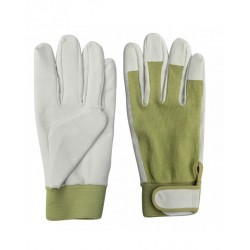 Gardening Gloves